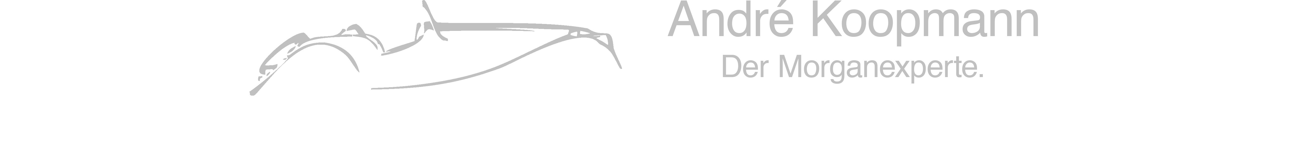 www.andrekoopmann.de